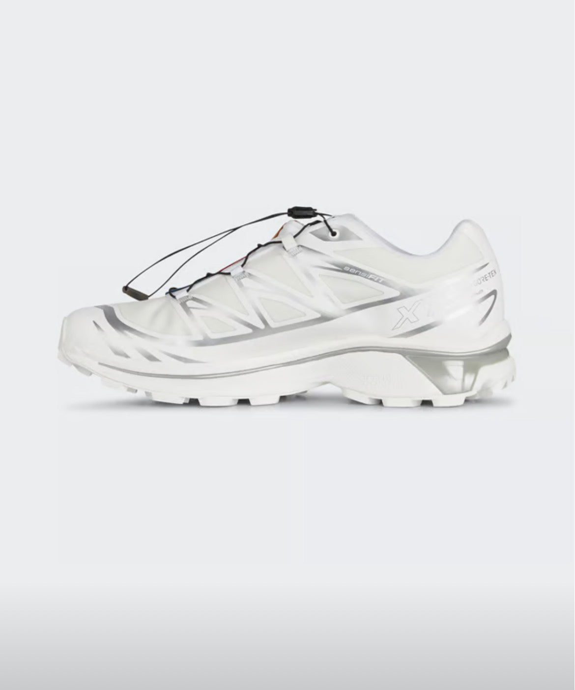 Salomon xt6 GTX white