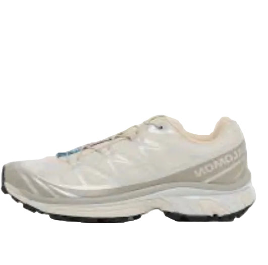 Salomon xt6 beige