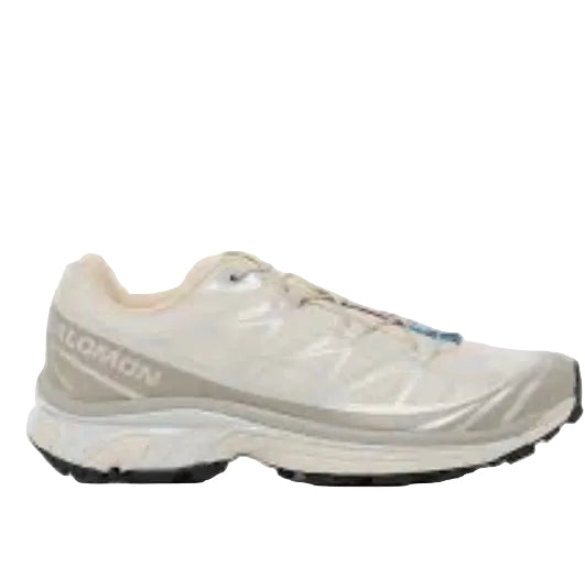 Salomon xt6 beige