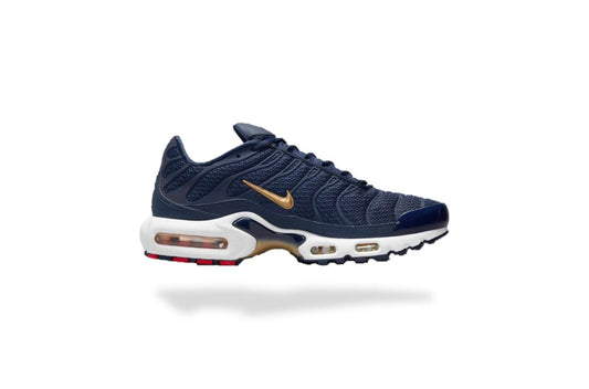 NIKE AIR MAX PLUS TN AIR MAX PLUS FFF - BLEU