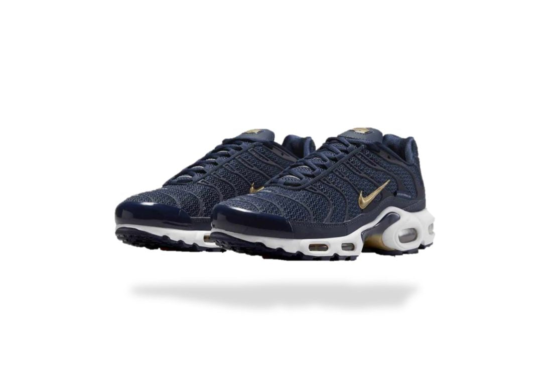 NIKE AIR MAX PLUS TN AIR MAX PLUS FFF - BLEU