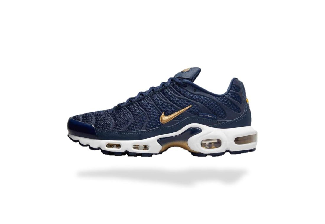 NIKE AIR MAX PLUS TN AIR MAX PLUS FFF - BLEU