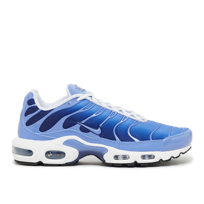 Air Max plus “Royal pulse”